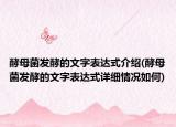 酵母菌发酵的文字表达式介绍(酵母菌发酵的文字表达式详细情况如何)