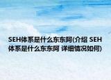 SEH体系是什么东东阿(介绍 SEH体系是什么东东阿 详细情况如何)