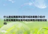 什么是炫舞墨漪笙莲对戒效果图介绍(什么是炫舞墨漪笙莲对戒效果图详细情况如何)