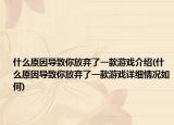 什么原因导致你放弃了一款游戏介绍(什么原因导致你放弃了一款游戏详细情况如何)