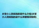 乡里小人到底指的是什么介绍(乡里小人到底指的是什么详细情况如何)