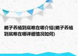 蝎子养殖到底难在哪介绍(蝎子养殖到底难在哪详细情况如何)