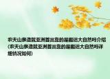 农夫山泉造就亚洲首富靠的是搬运大自然吗介绍(农夫山泉造就亚洲首富靠的是搬运大自然吗详细情况如何)
