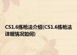 CS1.6练枪法介绍(CS1.6练枪法详细情况如何)