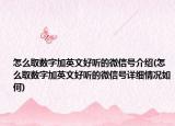 怎么取数字加英文好听的微信号介绍(怎么取数字加英文好听的微信号详细情况如何)