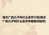 杨文广的儿子叫什么名字介绍(杨文广的儿子叫什么名字详细情况如何)