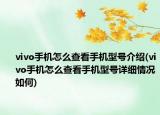 vivo手机怎么查看手机型号介绍(vivo手机怎么查看手机型号详细情况如何)