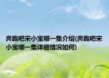 奔跑吧宋小宝哪一集介绍(奔跑吧宋小宝哪一集详细情况如何)