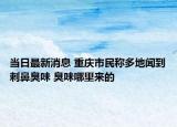 当日最新消息 重庆市民称多地闻到刺鼻臭味 臭味哪里来的