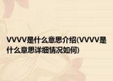 VVVV是什么意思介绍(VVVV是什么意思详细情况如何)
