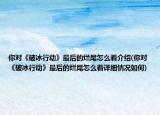 你对《破冰行动》最后的烂尾怎么看介绍(你对《破冰行动》最后的烂尾怎么看详细情况如何)