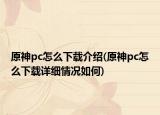 原神pc怎么下载介绍(原神pc怎么下载详细情况如何)