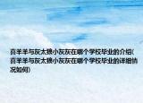 喜羊羊与灰太狼小灰灰在哪个学校毕业的介绍(喜羊羊与灰太狼小灰灰在哪个学校毕业的详细情况如何)
