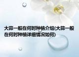 大蒜一般在何时种植介绍(大蒜一般在何时种植详细情况如何)