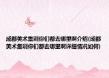 成都美术集训你们都去哪里啊介绍(成都美术集训你们都去哪里啊详细情况如何)