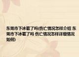 东莞市下冰雹了吗(伤亡情况怎样介绍 东莞市下冰雹了吗 伤亡情况怎样详细情况如何)