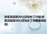 求实况足球2013汉化补丁介绍(求实况足球2013汉化补丁详细情况如何)