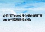如何打开cue文件介绍(如何打开cue文件详细情况如何)