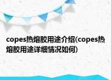 copes热熔胶用途介绍(copes热熔胶用途详细情况如何)