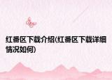 红番区下载介绍(红番区下载详细情况如何)