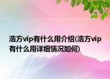 浩方vip有什么用介绍(浩方vip有什么用详细情况如何)