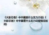 《火影忍者》中半藏是什么实力介绍(《火影忍者》中半藏是什么实力详细情况如何)