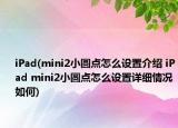 iPad(mini2小圆点怎么设置介绍 iPad mini2小圆点怎么设置详细情况如何)