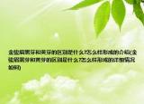 金骏眉黑芽和黄芽的区别是什么?怎么样形成的介绍(金骏眉黑芽和黄芽的区别是什么?怎么样形成的详细情况如何)