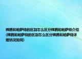 辉腾和帕萨特的区别怎么区分辉腾和帕萨特介绍(辉腾和帕萨特的区别怎么区分辉腾和帕萨特详细情况如何)