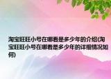 淘宝旺旺小号在哪看是多少年的介绍(淘宝旺旺小号在哪看是多少年的详细情况如何)