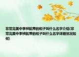 非常完美中李桢航带的帽子叫什么名字介绍(非常完美中李桢航带的帽子叫什么名字详细情况如何)
