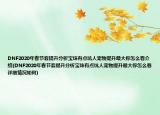 DNF2020年春节套提升分析宝珠有点坑人宠物提升最大你怎么看介绍(DNF2020年春节套提升分析宝珠有点坑人宠物提升最大你怎么看详细情况如何)