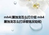 mh4(黑蚀龙怎么打介绍 mh4 黑蚀龙怎么打详细情况如何)