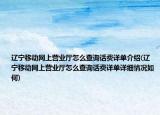 辽宁移动网上营业厅怎么查询话费详单介绍(辽宁移动网上营业厅怎么查询话费详单详细情况如何)