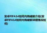 安卓FIFA14如何内购破解介绍(安卓FIFA14如何内购破解详细情况如何)