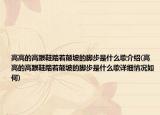 高高的高跟鞋踏着颠坡的脚步是什么歌介绍(高高的高跟鞋踏着颠坡的脚步是什么歌详细情况如何)