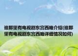 谁那里有电视剧东宫西略介绍(谁那里有电视剧东宫西略详细情况如何)