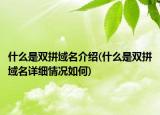 什么是双拼域名介绍(什么是双拼域名详细情况如何)