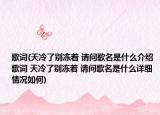 歌词(天冷了别冻着 请问歌名是什么介绍 歌词 天冷了别冻着 请问歌名是什么详细情况如何)