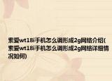 索爱wt18i手机怎么调形成2g网络介绍(索爱wt18i手机怎么调形成2g网络详细情况如何)