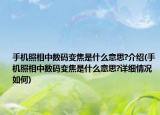 手机照相中数码变焦是什么意思?介绍(手机照相中数码变焦是什么意思?详细情况如何)