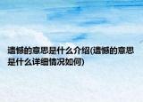 遗憾的意思是什么介绍(遗憾的意思是什么详细情况如何)