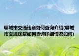 聊城市交通违章如何查询介绍(聊城市交通违章如何查询详细情况如何)
