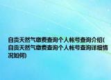 自贡天然气缴费查询个人帐号查询介绍(自贡天然气缴费查询个人帐号查询详细情况如何)