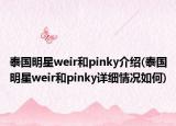 泰国明星weir和pinky介绍(泰国明星weir和pinky详细情况如何)
