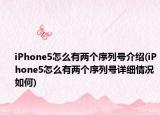 iPhone5怎么有两个序列号介绍(iPhone5怎么有两个序列号详细情况如何)