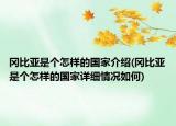 冈比亚是个怎样的国家介绍(冈比亚是个怎样的国家详细情况如何)