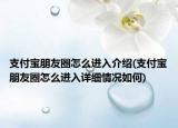 支付宝朋友圈怎么进入介绍(支付宝朋友圈怎么进入详细情况如何)