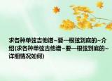 求各种单弦吉他谱~要一根弦到底的~介绍(求各种单弦吉他谱~要一根弦到底的~详细情况如何)