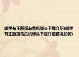 哪里有正版孤岛危机弹头下载介绍(哪里有正版孤岛危机弹头下载详细情况如何)